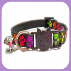 Collar-157